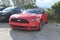 2017 Ford Mustang V6